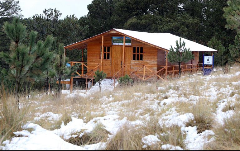 Mantener una casa caliente en temporal de frío puede resultar caro. NOTIMEX/ARCHIVO