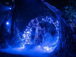 Navidalia comienza su temporada en el Parque Ávila Camacho. ESPECIAL/CORTESÍA.