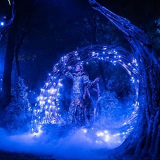 Los mejores eventos de entretenimiento del 8 al 14 de diciembre de 2023