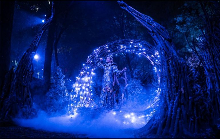 Navidalia comienza su temporada en el Parque Ávila Camacho. ESPECIAL/CORTESÍA.