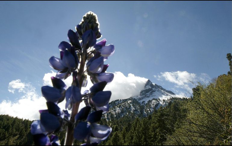 Conocer la sensación térmica nos ayuda a conocer los efectos que puede tener el clima sobre la salud. EL INFORMADOR / ARCHIVO