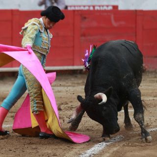 López Obrador propone consulta sobre prohibición de corridas de toros