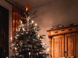 Se recomienda que se compre un árbol natural que tenga raíz. Unsplash.