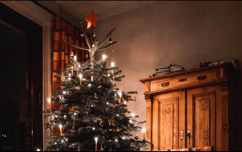 Se recomienda que se compre un árbol natural que tenga raíz. Unsplash.