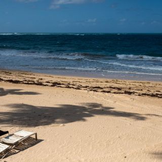 Sismo de magnitud 5.6 sacudió el este el caribe