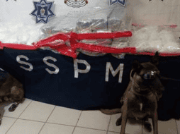 Arrestaron a Juan Antonio G. H. y Raúl C. P., por su presunta responsabilidad en la comisión de delitos contra la salud.X/@OEMParral