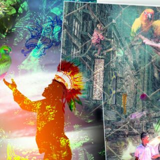 De sagrados a mascotas