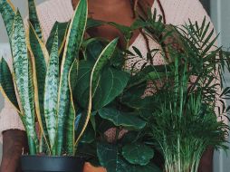 Foto de Jazmin Quaynor en Unsplash