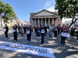 Hoy se conmemora el Día Internacional de los Derechos de los Animales. EL INFORMADOR/ J. Velazco