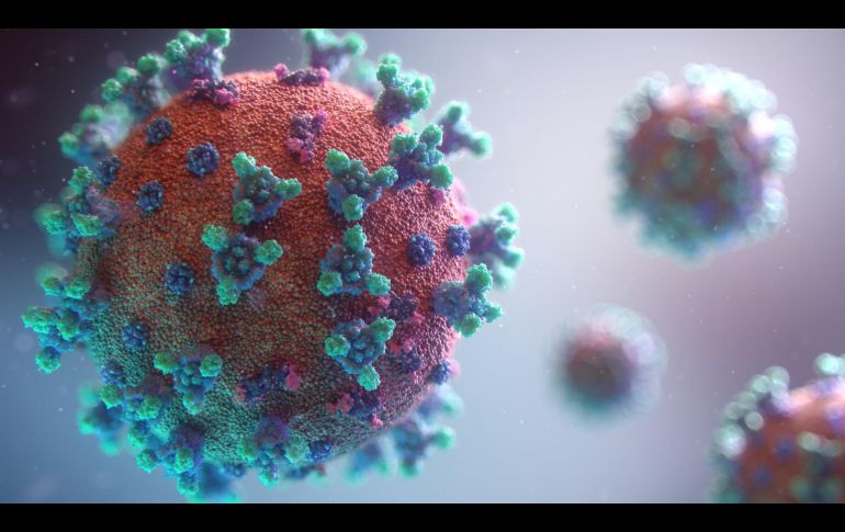 Este brote es de magnitudes sin precedentes, afectando a nueve de las diez provincias de Zambia. Unsplash.