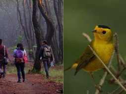 También podrás disfrutar de diversos paisajes dentro del Área Natural Protegida. ESPECIAL / SEMADET