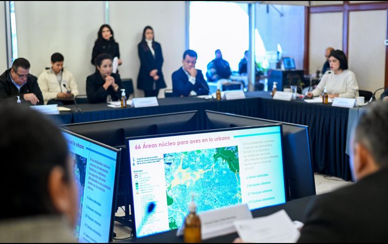 Habrá un consejero por cada municipio metropolitano (9), designados por el Pleno del Consejo Ciudadano Metropolitano. ESPECIAL / IMEPLAN