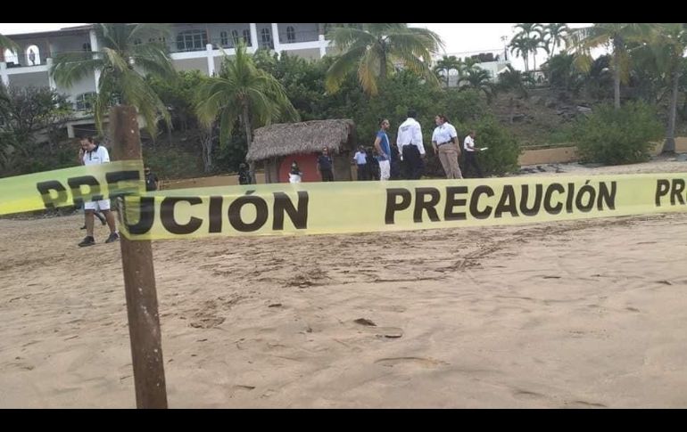 Fuentes de Protección Civil del municipio dudan entre si el animal es un escualo o un cocodrilo. ESPECIAL/ X.