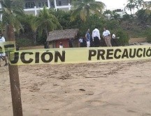 Fuentes de Protección Civil del municipio dudan entre si el animal es un escualo o un cocodrilo. ESPECIAL/ X.