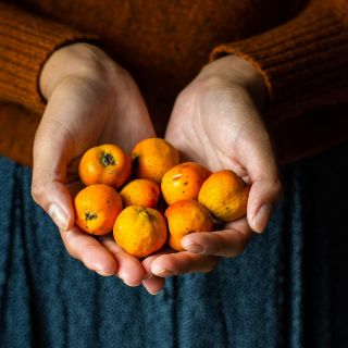 Estos son los beneficios que tiene para el cuerpo el tejocote del ponche