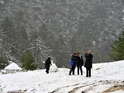 Con una temperatura promedio de 30 grados durante el verano, en invierno, Arteaga, en el estado de Coahuila, es uno de los lugares más fríos en invierno. EFE / ARCHIVO