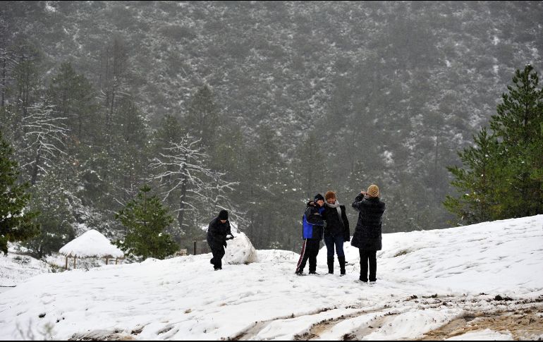Con una temperatura promedio de 30 grados durante el verano, en invierno, Arteaga, en el estado de Coahuila, es uno de los lugares más fríos en invierno. EFE / ARCHIVO