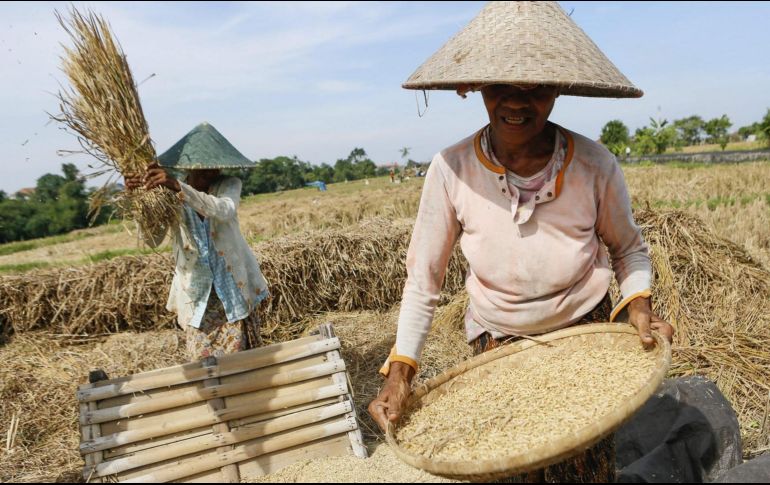 El ministro de Agricultura, Andi Amran, recordó que no es la primera vez que se establece esta colaboración entre las fuerzas armadas y los agricultores. EFE / ARCHIVO