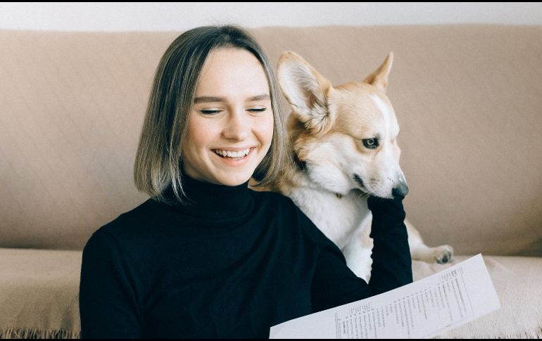 La opción de llevar a tus mascotas al trabajo es real en este país de Europa. ESPECIAL / Nataliya Vaitkevich/ Pexels