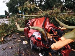 El temporal afectó principalmente al AMBA (Área Metropolitana de Buenos Aires). EFE/ J. Roncoroni