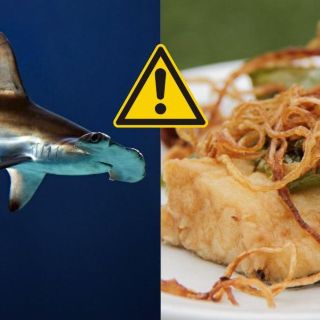 Alertan por pescaderías que venden tiburón en lugar de bacalao