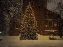 Estos países tienen las decoraciones más bonitas en su árbol navideño. ESPECIAL/ Pixabay