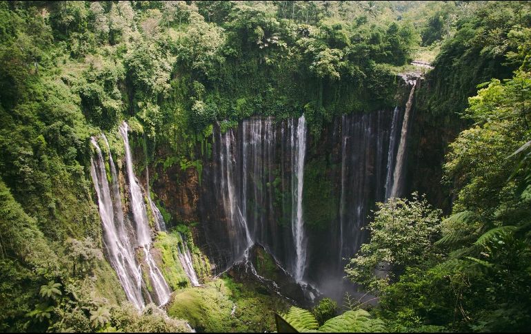 Visita estos paraísos en 2024. ESPECIAL/ Pixabay