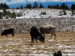 Este jueves 21 de diciembre de 2023, a las 21:27 horas, tiempo del centro de México, inicia el solsticio de invierno en el hemisferio norte. AFP / ARCHIVO