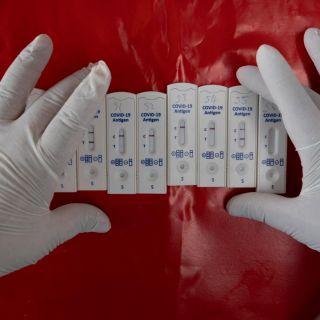 Pirola: ¿por qué se llama así la nueva variante del Covid que ya está en México?