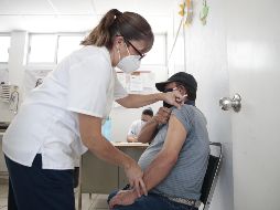 Ayer comenzó la venta de las vacunas de Pfizer contra el COVID-19 en cadenas farmacéuticas del país. EL INFORMADOR/Archivo