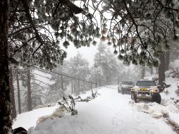 Seguramente has escuchado alguna vez que con el clima frío se han presentado heladas, nevadas, y caída de aguanieve en algunos estados de México. EFE / ARCHIVO