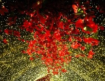 Disfruta de las actividades decembrinas que ofrece la ciudad. EL INFORMADOR • A. NAVARRO.