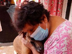 Tus mascotas requieren cuidados especiales por las condiciones climatológicas ¡Atiéndelos! SUN / RDB