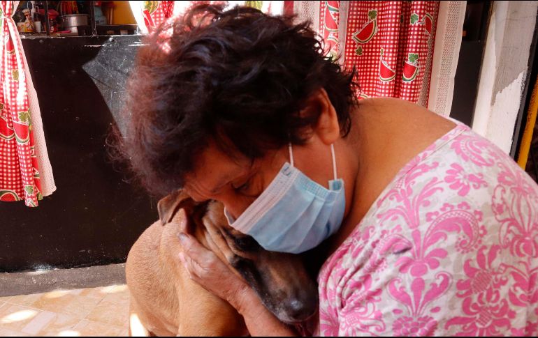 Tus mascotas requieren cuidados especiales por las condiciones climatológicas ¡Atiéndelos! SUN / RDB