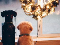 En esta temporada de frío un suéter, abrigo, una cama, cobija o manta es una buena opción. UNSPLASH / L. Snipes