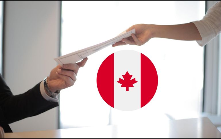 El empleo es para el puesto de “farm supervisor”, en español, supervisor de granja. Pexels