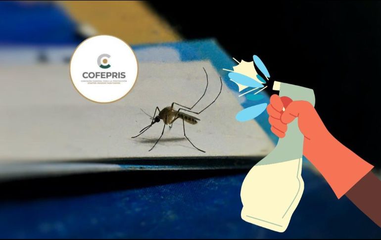  En caso de haber adquirido este producto y sufrir intoxicación se deberá acudir de forma inmediata a servicios médicos. UNSPLASH /  M. Girish