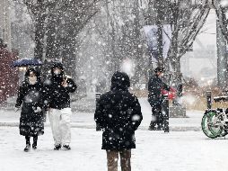 La nevada provocó algunas colisiones de tráfico menores en toda la ciudad. EFE