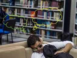 El descanso es una actividad esencial de la salud mental y corporal, ¿qué significa que no recordemos los sueños?EL INFORMADOR / ARCHIVO