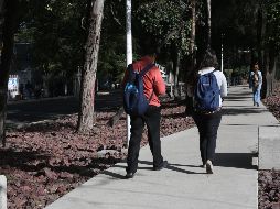 Muchos especialistas dicen que a la hora de elegir una carrera universitaria no solo se debe tomar en cuenta el gusto personal, sino también la remuneración económica que tiene. EL INFORMADOR / ARCHIVO