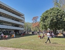 Algunas carreras tienen un alto promedio de ingresos mensuales. EL INFORMADOR/ARCHIVO