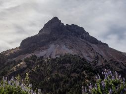 Las predicciones de un invierno más cálido significan que las futuras nevadas en México pueden no ser tan prolongadas o intensas como se pensaba inicialmente. EL INFORMADOR / ARCHIVO