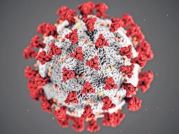 En países como Brasil, México, Chile, El Salvador, Honduras o Costa Rica no se han reportado aumentos significativos. EL INFORMADOR/ ARCHIVO