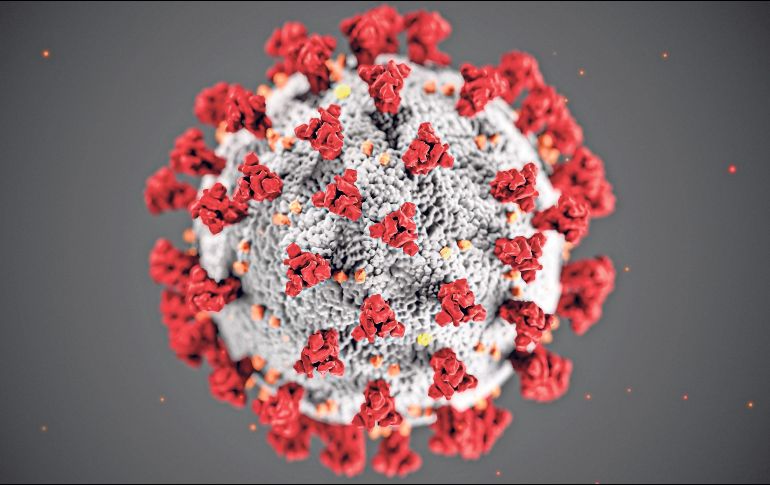 En países como Brasil, México, Chile, El Salvador, Honduras o Costa Rica no se han reportado aumentos significativos. EL INFORMADOR/ ARCHIVO