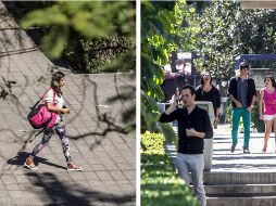 ¿Cuál es la carrera universitaria más difícil de estudiar? Aquí te contamos. EL INFORMADOR / ARCHIVO