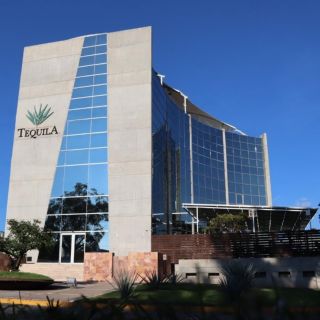 Cierra industria tequilera 2023 con casi 600 millones de litros de producción