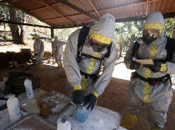Los agentes caninos modificaron su conducta, por lo que los efectivos llevaron a cabo la guarda y custodia de la estructura sospechosa. SUN/ ARCHIVO