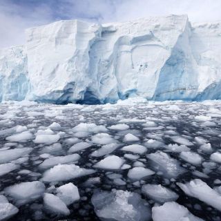 Antártida: Descubren bacterias que descomponen contaminantes