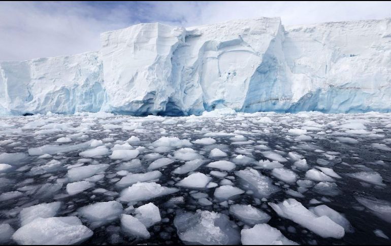 El científico reconoció que aún se desconoce por qué las bacterias tienen esta capacidad. EFE / ARCHIVO