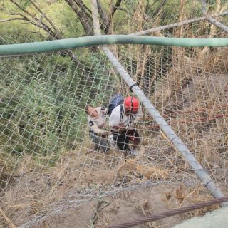 Un hombre y su hijo se extravían seis horas en la Barranca de Huentitán